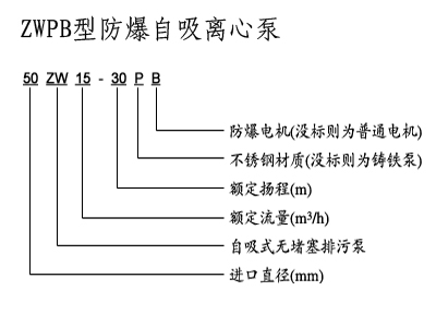 不銹鋼自吸泵,防爆自吸泵,排污自吸泵,ZX型自吸泵，ZW型自吸泵，無密封自控自吸泵，自吸泵圖片，自吸水泵，自吸泵廠家，自吸泵價格，上海自吸泵