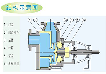 氟塑料自吸泵結(jié)構(gòu)示意圖